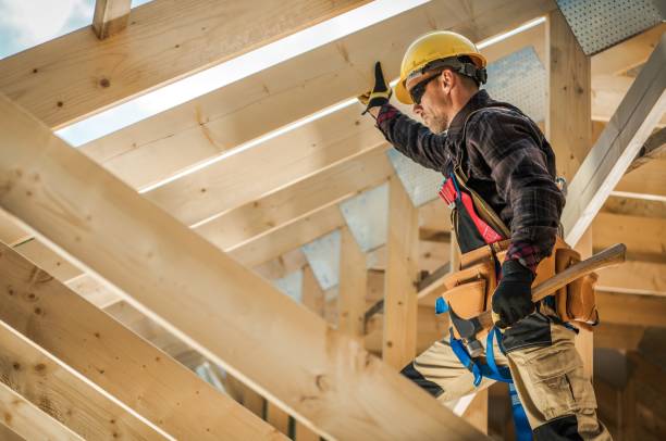 Best Roof Gutter Cleaning  in Jacinto City, TX