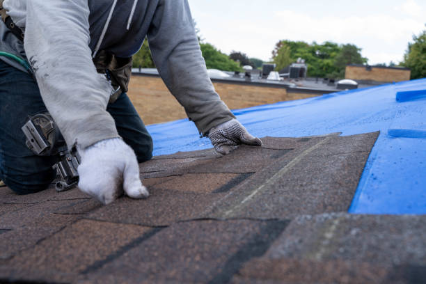Best Roof Restoration Services  in Jacinto City, TX