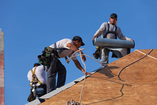 Best Residential Roofing Contractor  in Jacinto City, TX