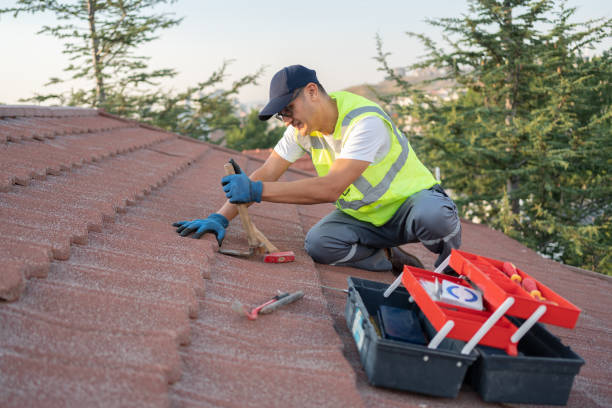 Best Flat Roof Repair Services  in Jacinto City, TX
