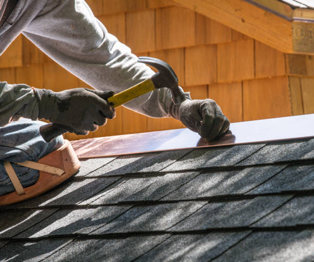 Best Metal Roofing Contractor  in Jacinto City, TX